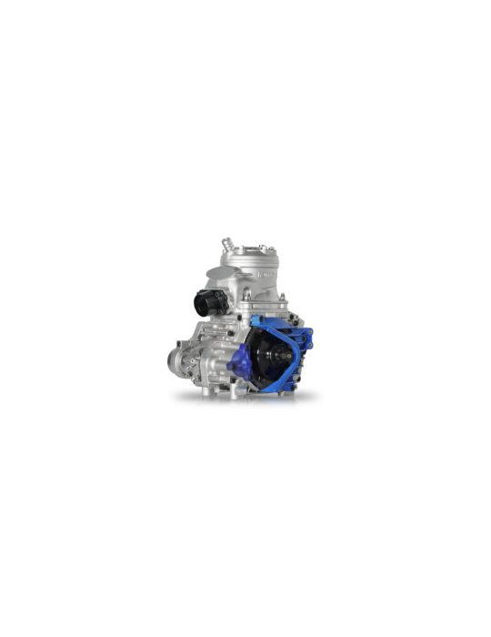 MOTEUR IAME ENGINE S125 COMPLETE