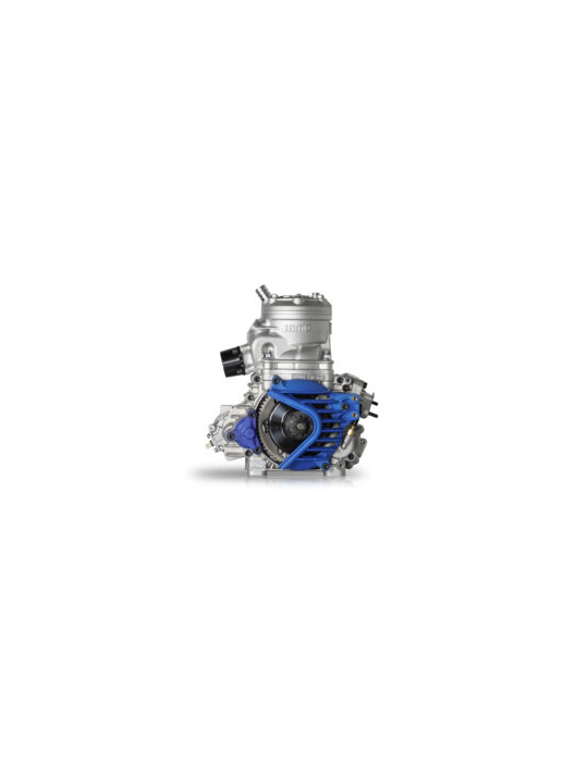 MOTEUR IAME ENGINE S125 COMPLETE