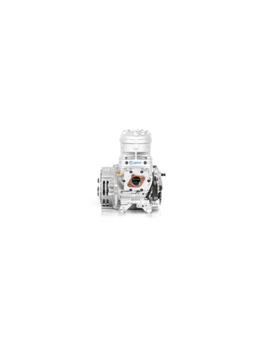 MOTEUR IAME SUPER SHIFTER 175CC