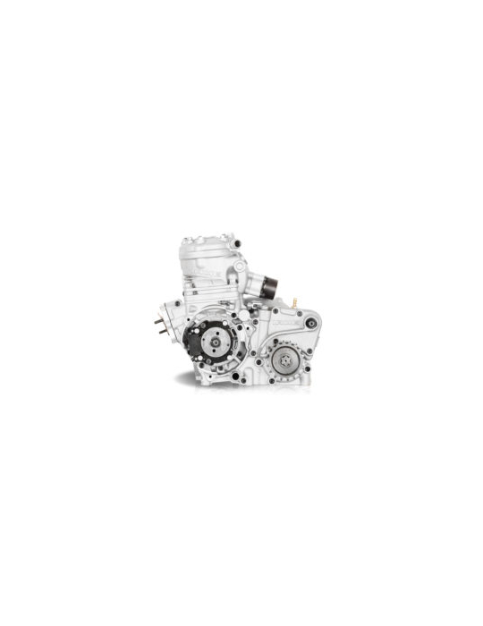 MOTEUR IAME SUPER SHIFTER 175CC