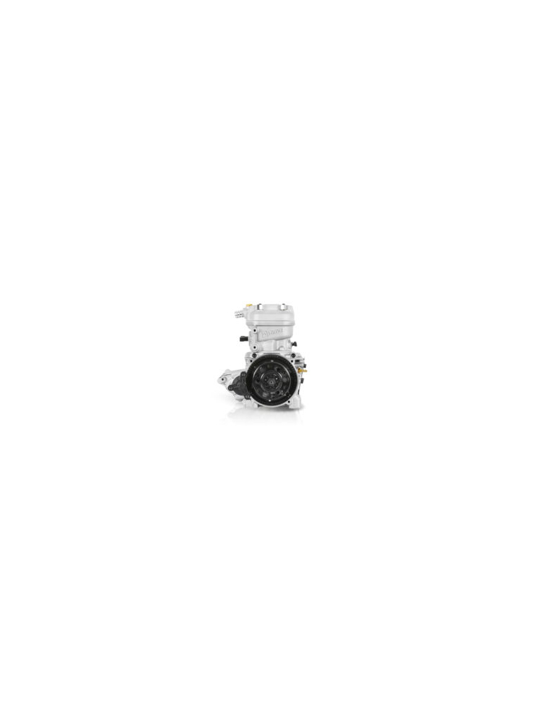 MOTEUR IAME X30 WATERSWIFT