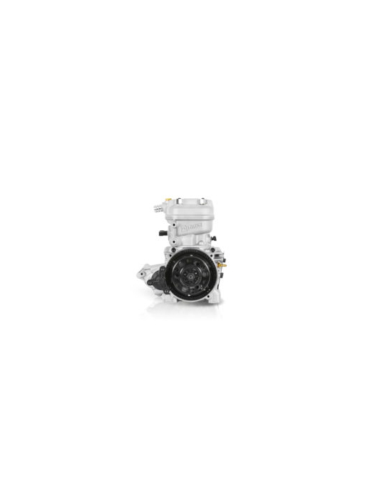 MOTEUR IAME X30 WATERSWIFT