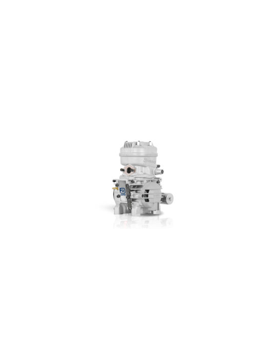 MOTEUR IAME X30 WATERSWIFT