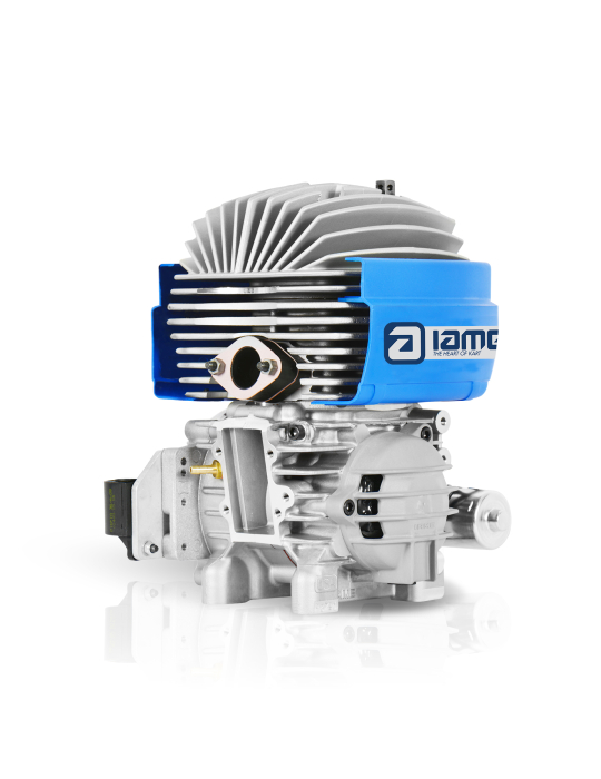 MOTEUR IAME MINI SWIFT BELGIO 60CC