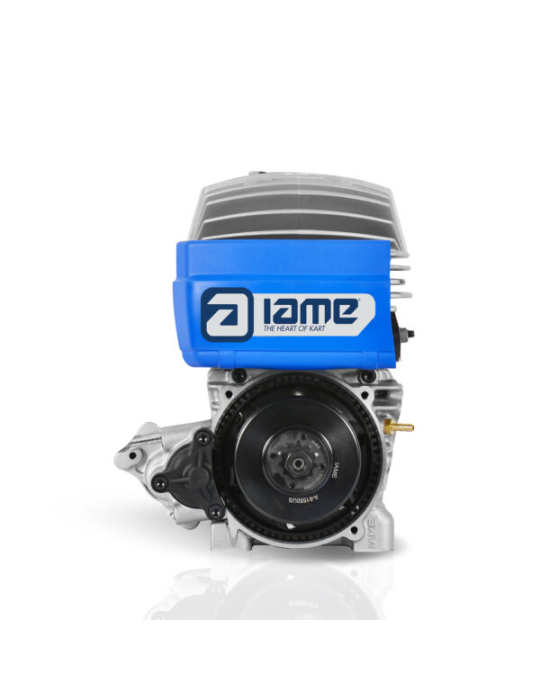 MOTEUR IAME MINI SWIFT BELGIO 60CC