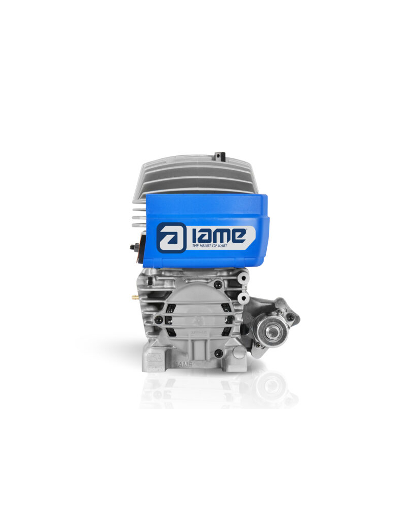MOTEUR IAME MINI SWIFT BELGIO 60CC