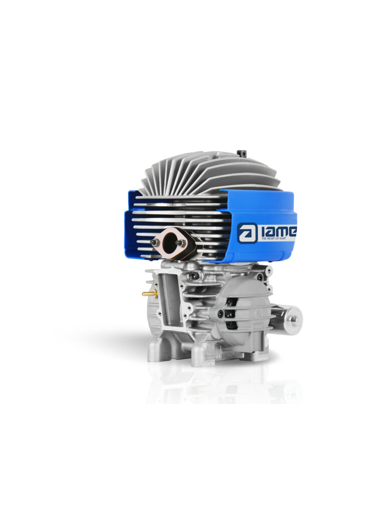 MOTEUR IAME MINI SWIFT BELGIO 60CC
