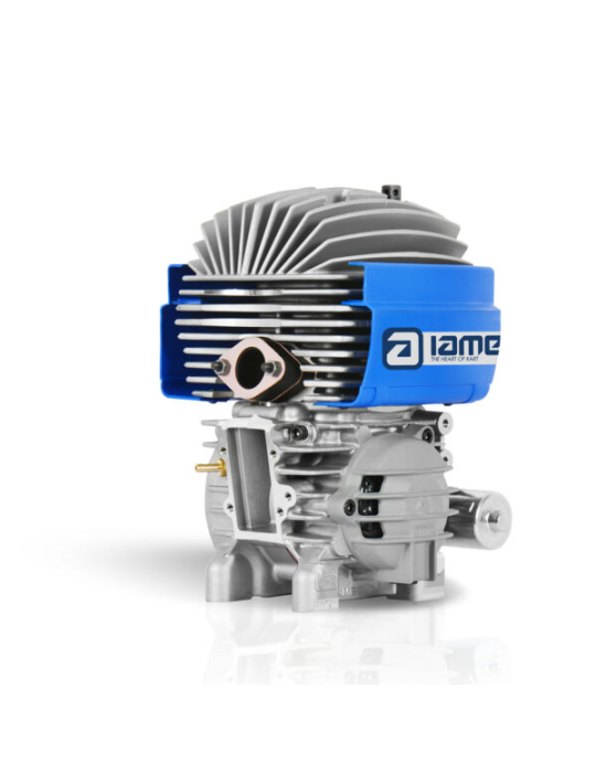 MOTEUR IAME MINI SWIFT BELGIO 60CC