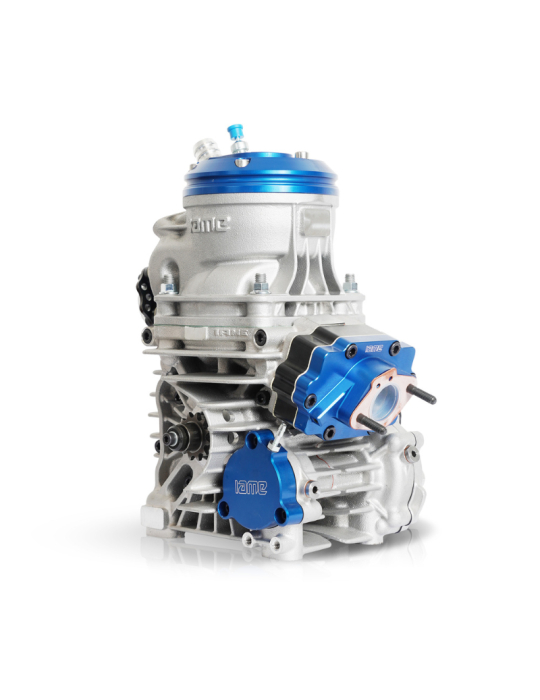 MOTEUR IAME REEDSTER OKJ - 2023 ENGINE