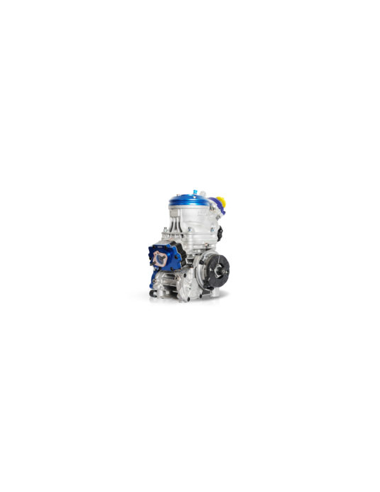 MOTEUR IAME REEDSTER OKJ - 2023 ENGINE