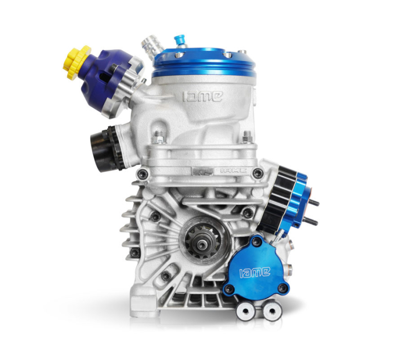 MOTEUR IAME REEDSTER OK COMPLET - 2025 ENGINE
