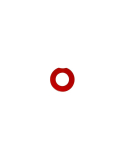 RED WASHER START/STOP BUTTON