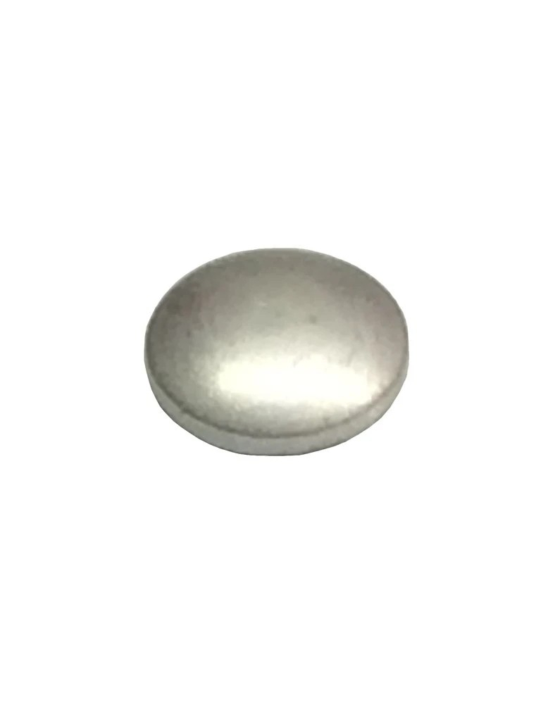PASTILLE WELCH /WELCH PLUGHW31A