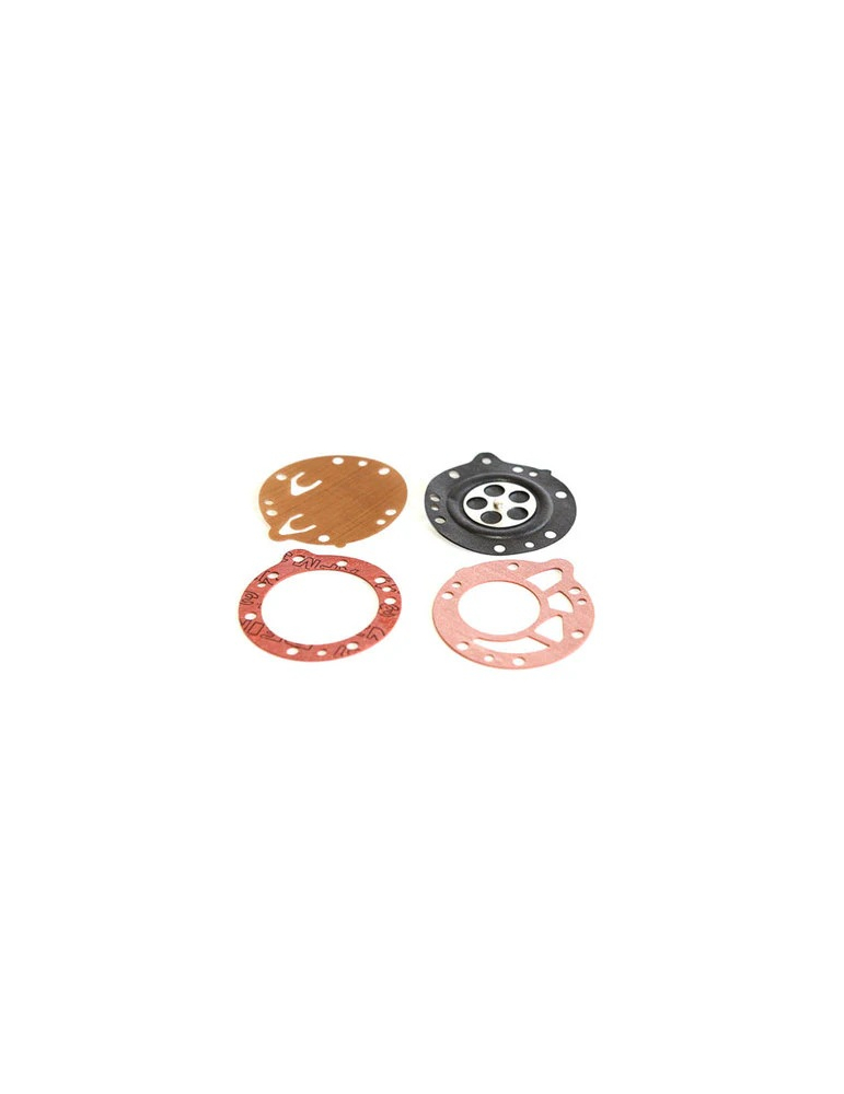 KIT MEMBRANES & JOINTS /DIAPHRAGM & GASKET (STANDARD)HB10-15A