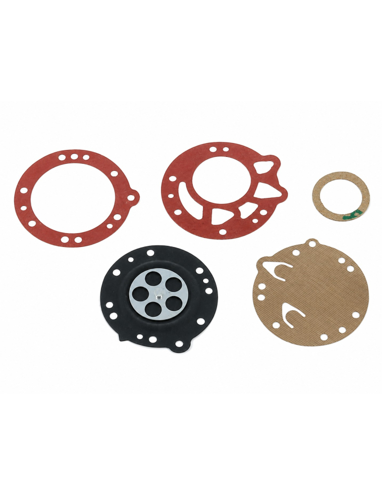 DIAPHRAGM AND GASKET KIT