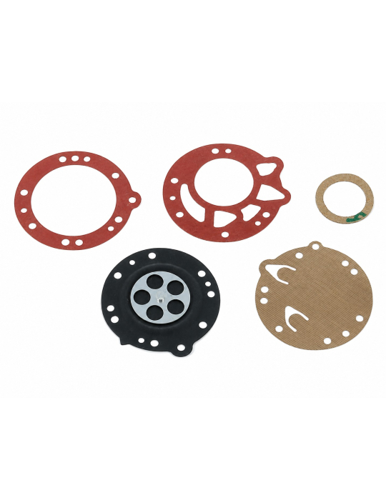 DIAPHRAGM AND GASKET KIT