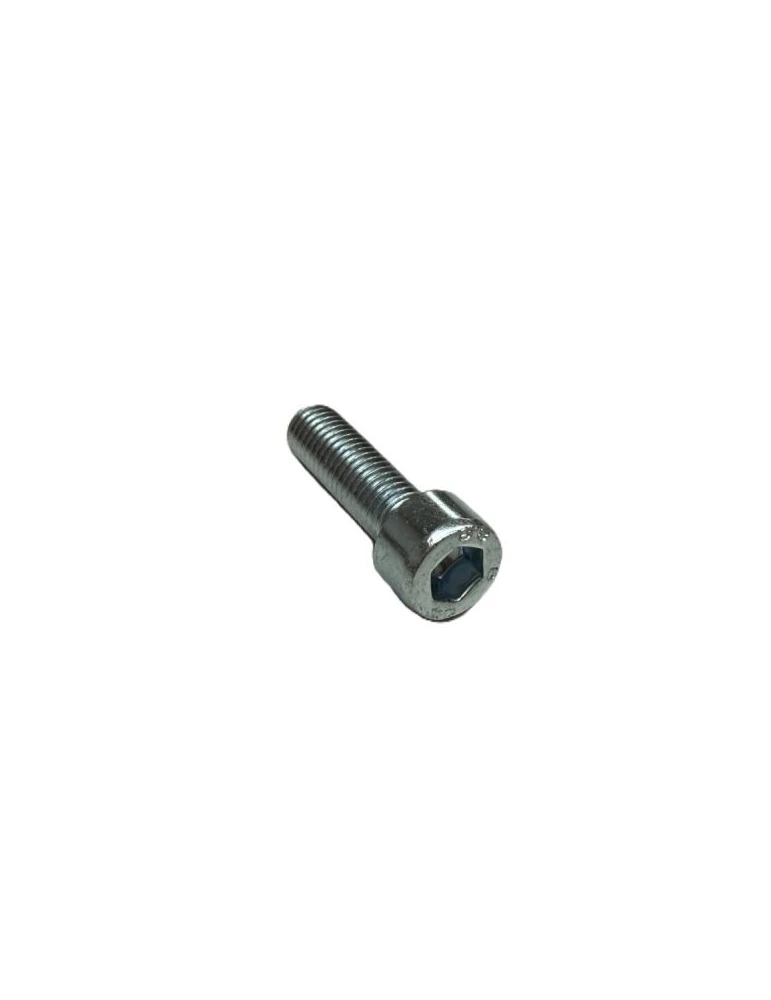 VIS TCEI M10X35 CAVALLOTTO SOTTOMOTORE / SCREW TCEI M10X35