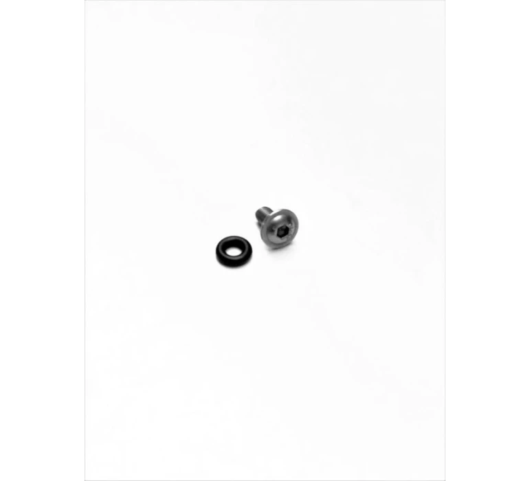GRIPSTER + JOINT OR POUR JANTE / SAFETY SCREW + OR FOR WHEELS