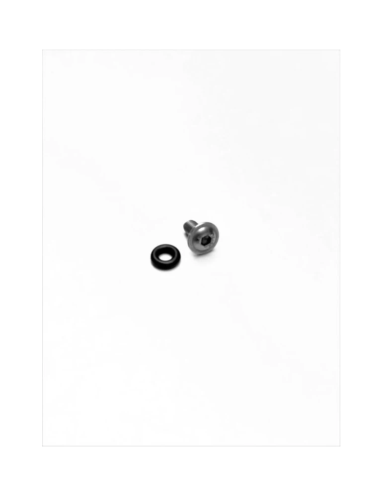 GRIPSTER + JOINT OR POUR JANTE / SAFETY SCREW + OR FOR WHEELS