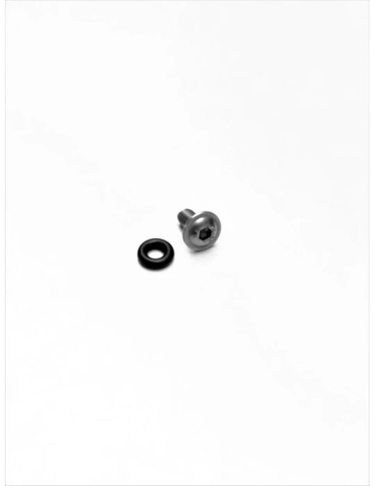 GRIPSTER + JOINT OR POUR JANTE / SAFETY SCREW + OR FOR WHEELS