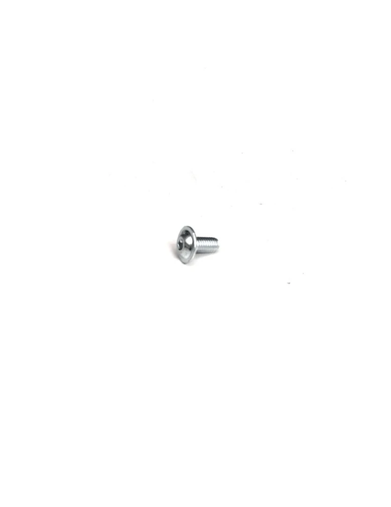 GRIPSTER POUR JANTES / SAFETY SCREW FOR WHEELS