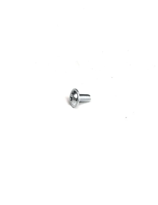 GRIPSTER POUR JANTES / SAFETY SCREW FOR WHEELS