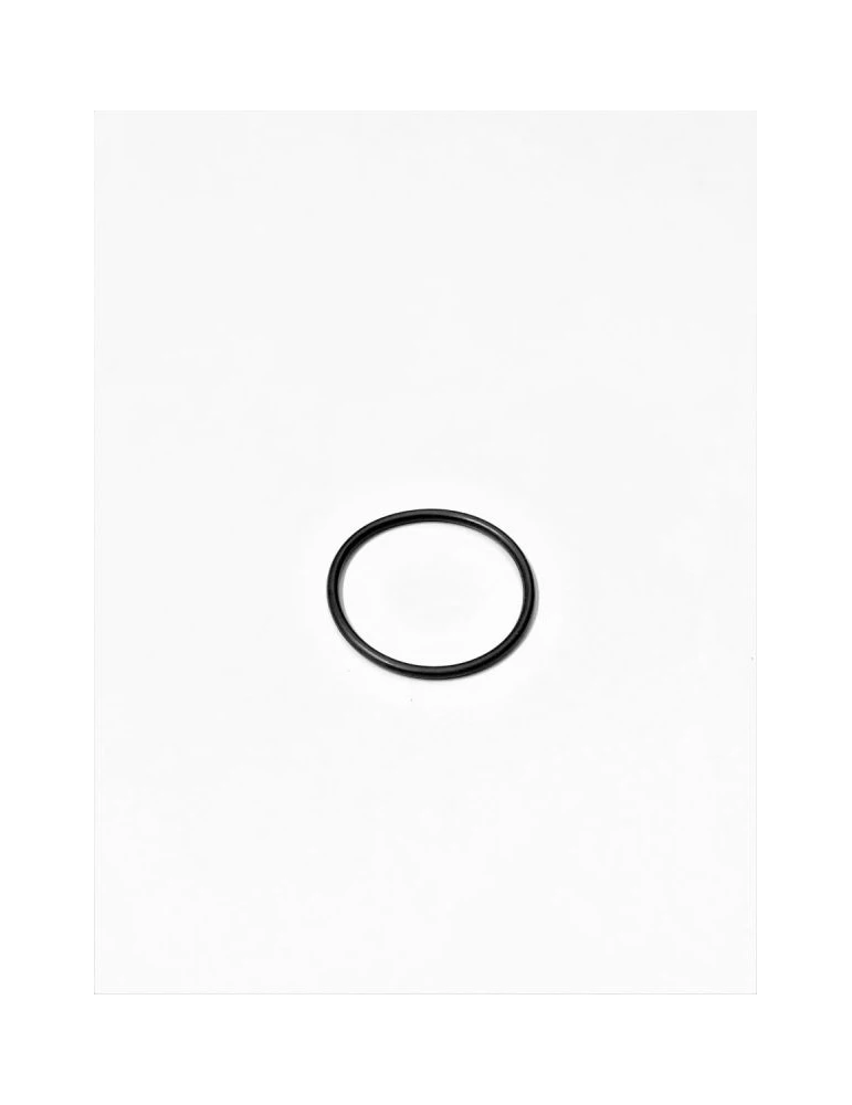 BAGUE D’ÉTANCHÉITÉ DE L’ÉTRIER FREIN ARRIÈRE (AVANT 2021) / ANELLO TEN