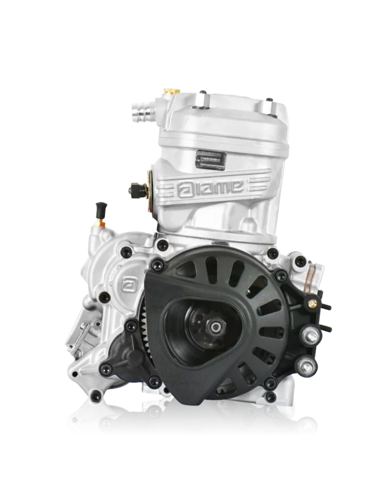 MOTEUR IAME X30