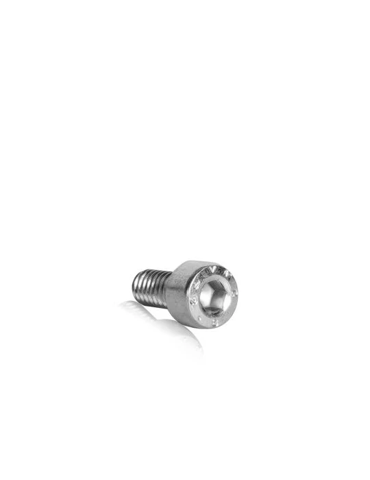 VIS TCEI M6X20 Z.B. (PER BUSSOLA DISCO FRENO) / SCREW TCEI M6X20 (FOR