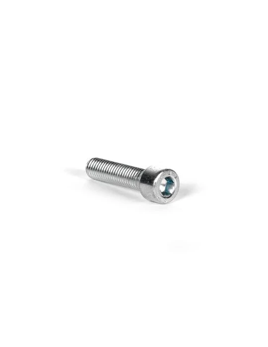 SCREW TCEI M6X35