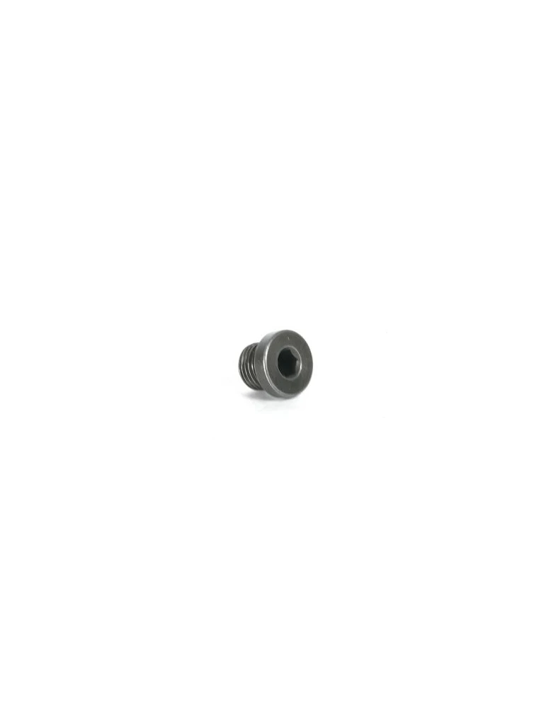 BOUCHON DE PURGE POMPE DE FREIN (M10) / COVER FOR HYDRAULIC BRAKE PUMP