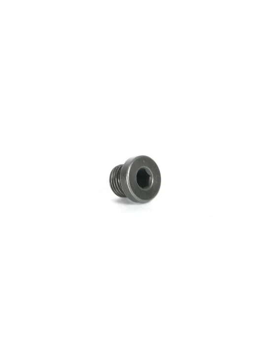 BOUCHON DE PURGE POMPE DE FREIN (M10) / COVER FOR HYDRAULIC BRAKE PUMP