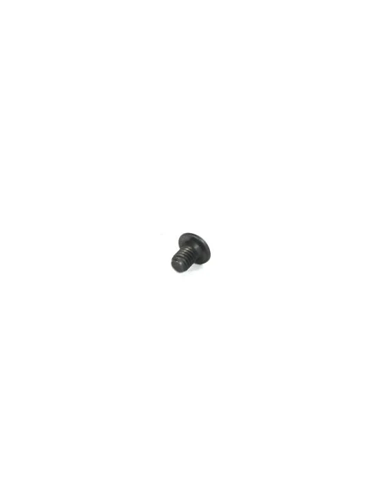 VIS DE BLOCAGE PISTON DE POMPE DE FREIN TBEI M4X6 / LOCKING PISTON BOL