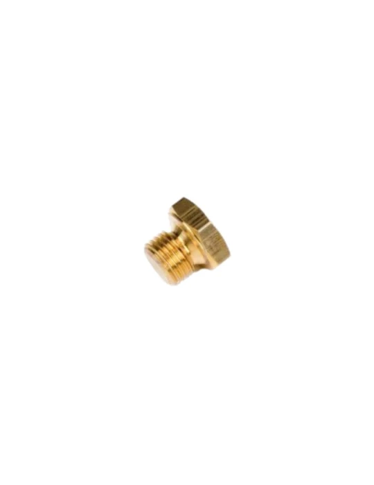 TEMP. GAUGE PLUG