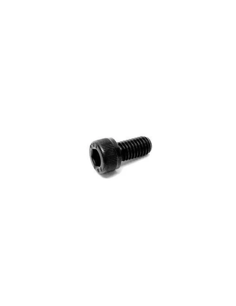 KIT 20 VIS TCCE M6x12/ KIT 20 SCREWS TCCE M6x12