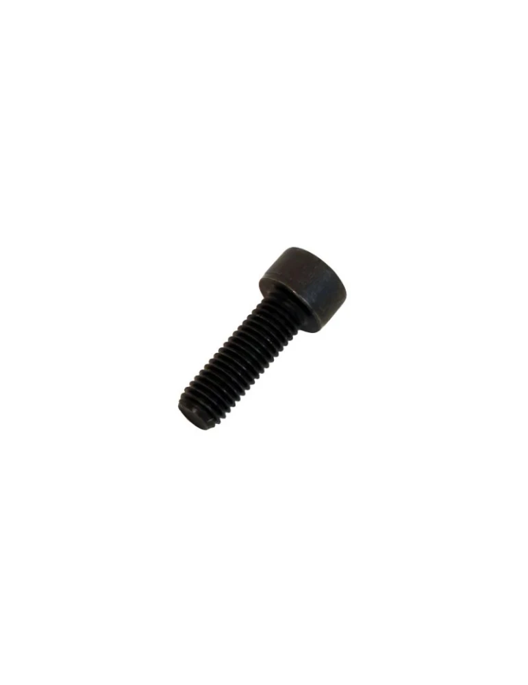 KIT 20 SOCKET H. SCREWS M6X25