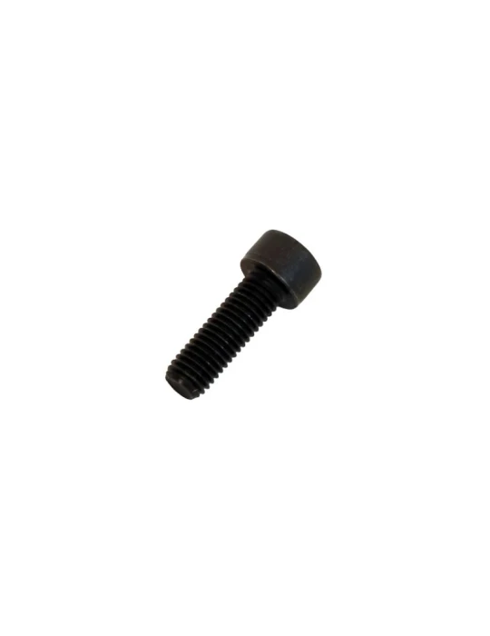 KIT 20 SOCKET H. SCREWS M6X25