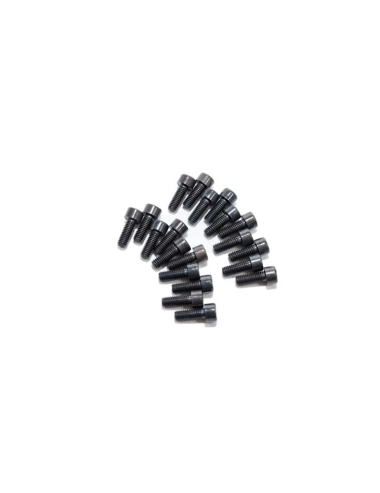 KIT 20 SCREWS TCCE 6x16