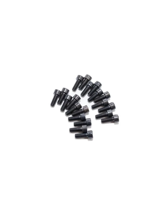 KIT 20 SCREWS TCCE 6x16