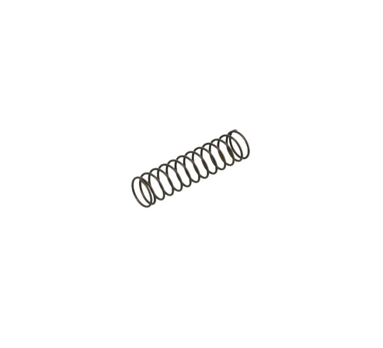 EXHAUST VALVE SPRING REEDSTER V OK '19