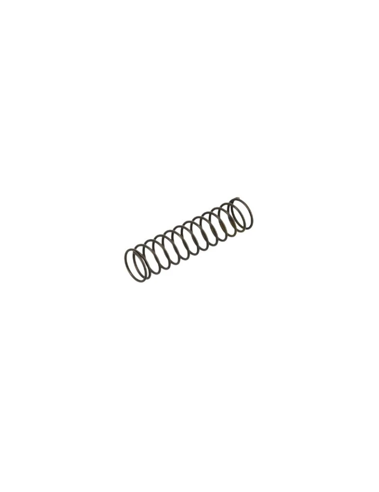 EXHAUST VALVE SPRING REEDSTER V OK '19