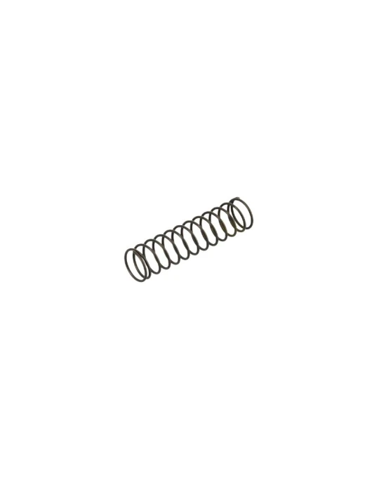 EXHAUST VALVE SPRING REEDSTER V OK '19