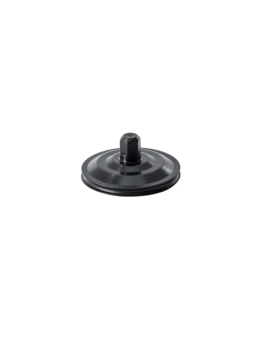 PISTON FOR VALVE'08 REEDSTER